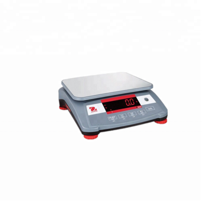 High Precision Platform Weighing Scale